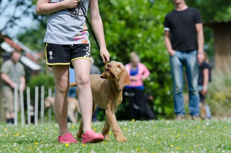 Sonee Dosoruth: Wie die eigene Persönlichkeit den Erfolg im Problemhundetraining beeinflusst