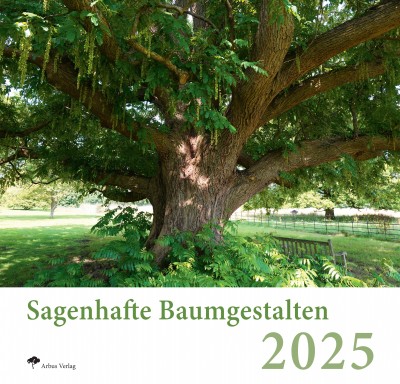 DIE einzigartigen Baumkalender 2025